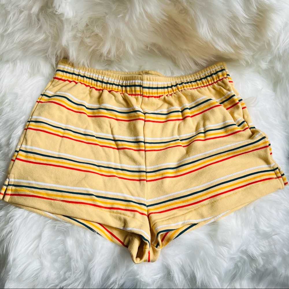 Wildfox Aura Stripe Havi Shorts